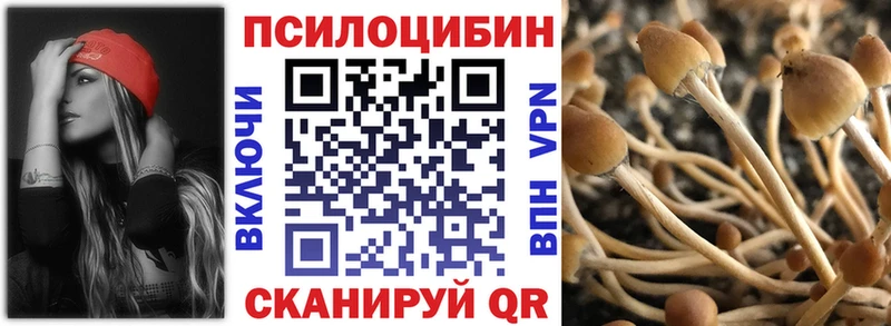 Галлюциногенные грибы мухоморы  Салаир 